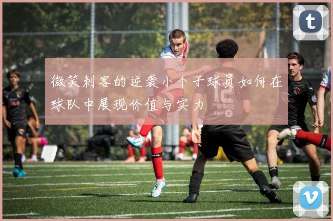 微笑刺客的逆袭小个子球员如何在球队中展现价值与实力