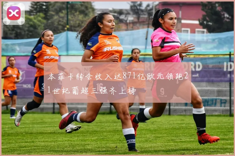 本菲卡转会收入达871亿欧元领跑21世纪葡超三强齐上榜